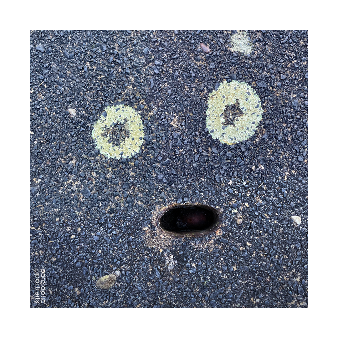 Pareidolia Portraits