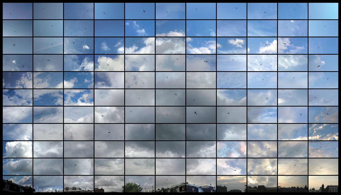 City Bird (Avis Civitatis)