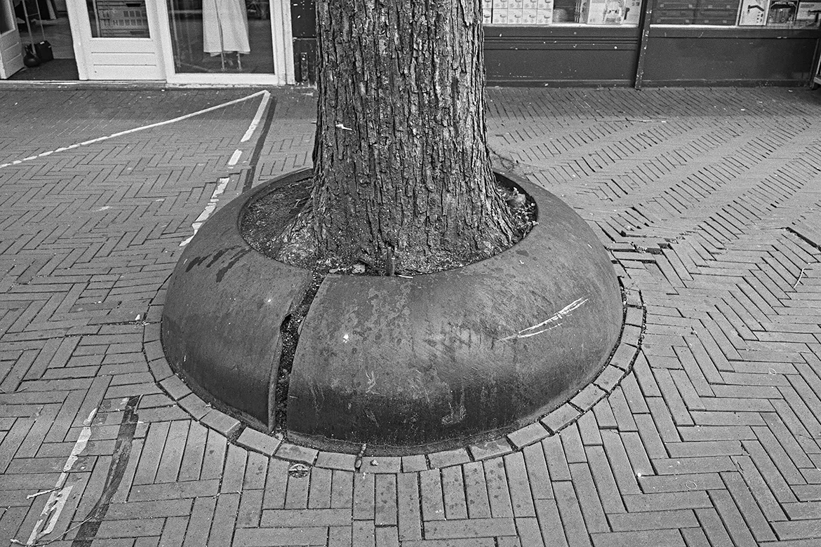 round 02_KODAK_1170
